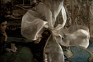 Image thumbnail for "Silk Scarf for Gail" by Heather Bennett in the series, "Photos of Gifts".